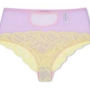 Dora Larsen Florrie Brief Lag New Lace Panty in Pastel Yellow and Pink